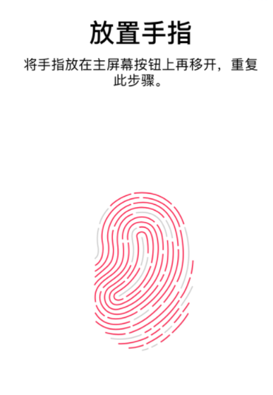 在iPhone中录入指纹的详细步骤截图