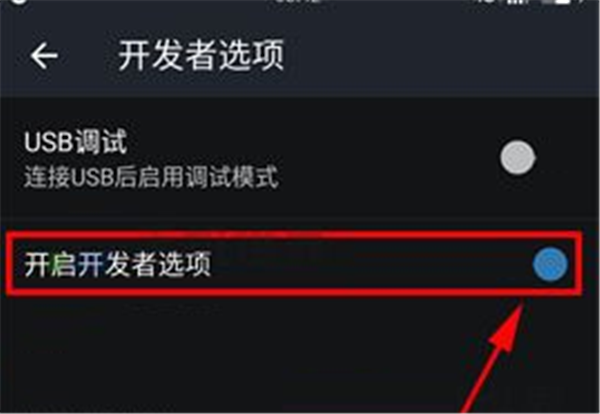 一加6打开开发者选项的具体操作截图