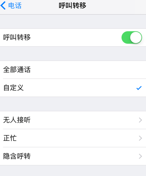 iphone设置呼叫转移的操作流程截图