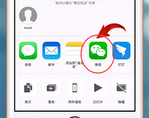 在苹果手机中将Live Photos照片发送给微信好友的详细操作截图