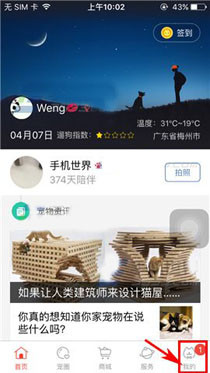 有宠app设置夜间防骚扰模式的操作流程截图