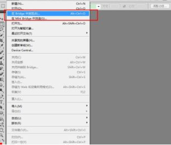 photoshop使用Bridge的操作过程截图