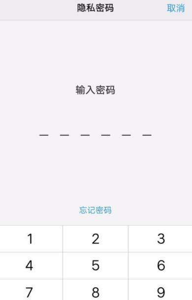 vivo手机为手机应用加密的详细操作截图