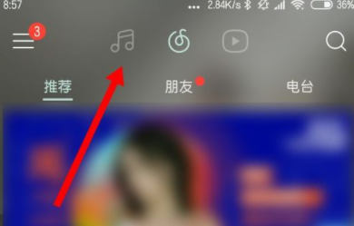 网易云音乐查看播放记录的简单操作截图