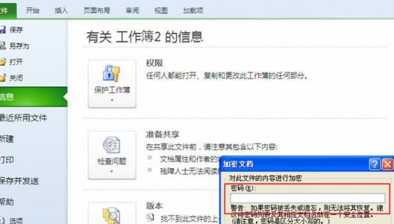 excel2010中为文档加密的具体操作步骤截图