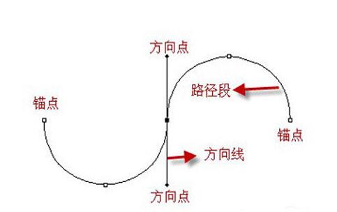 ps使用钢笔工具的详细操作截图