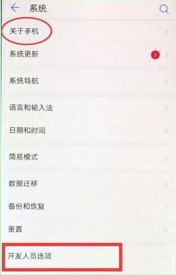 在华为p30pro中打开开发者选项的方法介绍截图