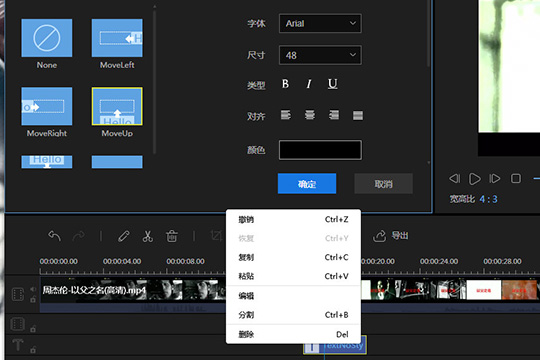 视频编辑王增添字幕的操作教程截图