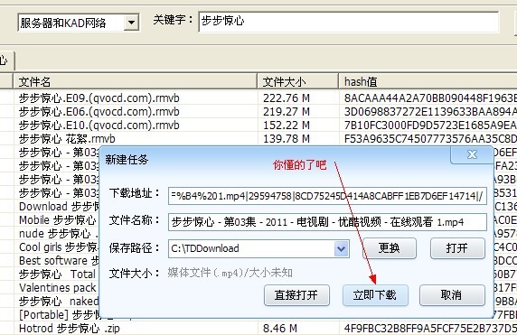 P2PSearcher的详细使用教程截图