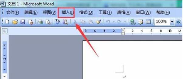 word2003中插入页码的方法截图