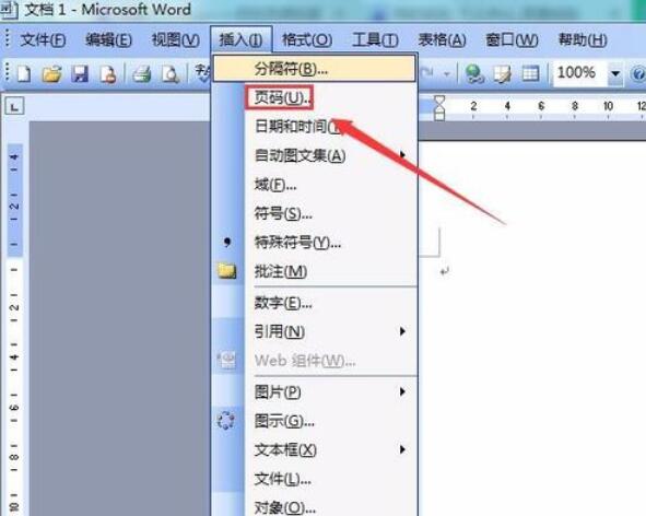 word2003中插入页码的方法截图