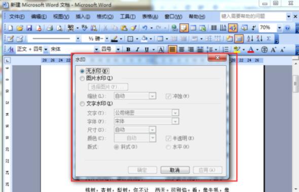 word2003文档添加水印的方法介绍截图