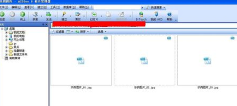 ACDSee设置标题的详细操作教程截图