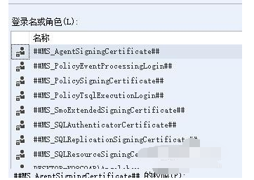 SQL Server 设置权限的具体操作教程截图