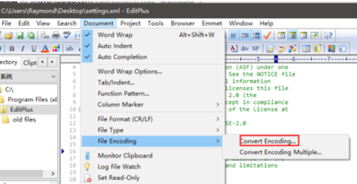 EditPlus更改字符编码格式的操作教程截图