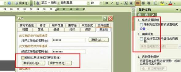 word2003文档设置密码保护的操作方法截图