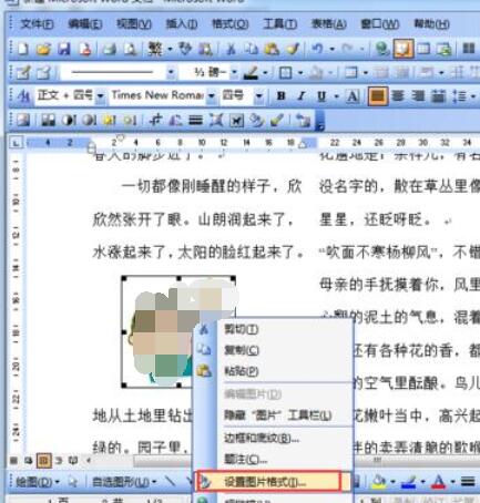 word2003中防止图片移动的设置方法截图