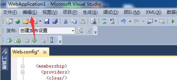 Visual Studio 2005(VS2005)查看空白的操作步骤截图