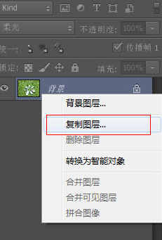 Photoshop CS6给草地调出亮丽颜色的操作教程截图