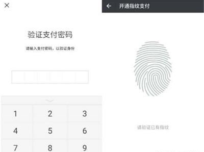 iqoopro手机微信指纹支付的设置方法截图