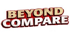 Beyond Compare显示标签页栏的详细操作步骤