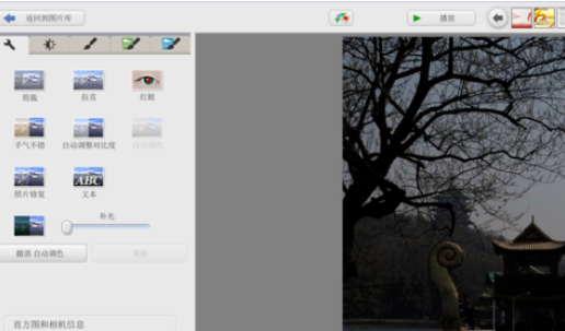 Google Picasa修整照片颜色以及亮度的操作步骤截图