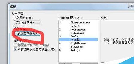 PowerPoint Viewer批量导入照片的详细操作步骤截图