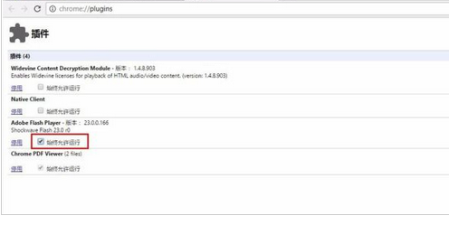 谷歌浏览器中打开flash插件的操作教程截图