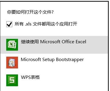 excel2007设置默认打开方式的操作方法截图