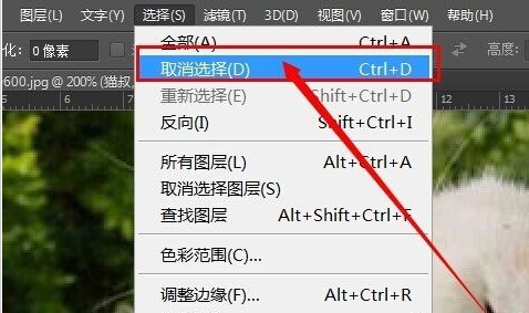 photoshop cs6为图片加框的操作步骤截图