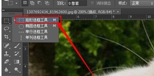 photoshop cs6为图片加框的操作步骤截图