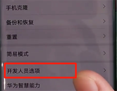 华为mate30pro中关闭开发人员选项的操作教程截图