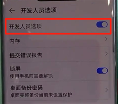 华为mate30pro中关闭开发人员选项的操作教程截图