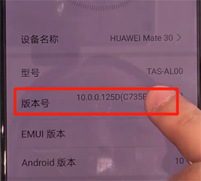 华为mate30中开启开发人员选项的操作教程截图