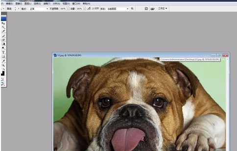 Adobe Photoshop中液化工具的详细使用步骤截图