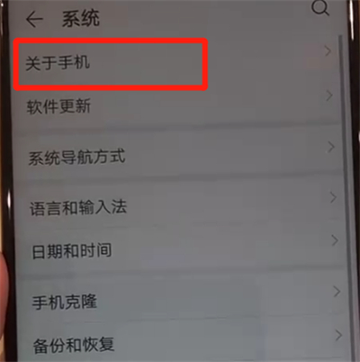 华为nova4中开启开发者选项的操作教程截图