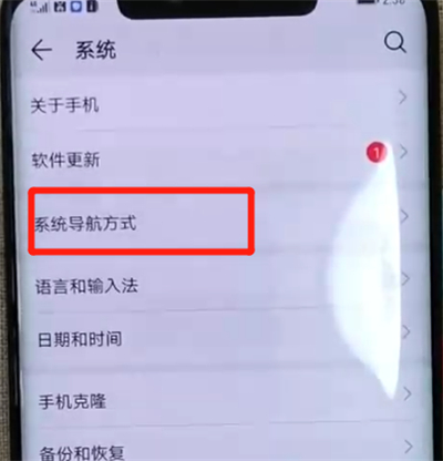 华为mate20pro中设置虚拟按键的操作教程截图