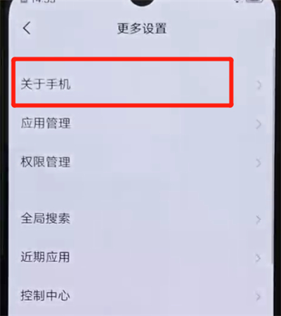 iqoo手机中打开开发者模式的简单操作方法截图