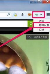 火狐浏览器关掉网页声音的操作过教程截图