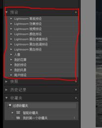 Lightroom预设进行导入的操作方法截图