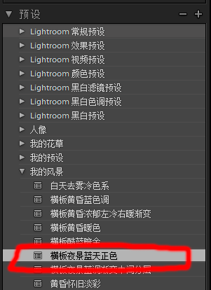 Lightroom导出保存预设的操作步骤截图