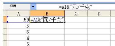 excel2007批量添加前缀或后缀的详细教程截图