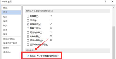 word2013打印不了图片的处理教程截图