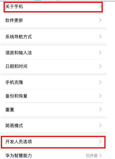 荣耀20青春版中打开开发者选项的操作教程截图