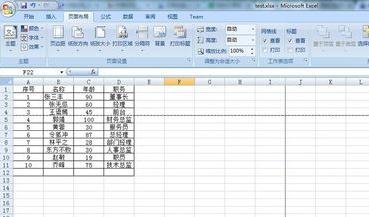 excel2007设置分页符的详细操作教程截图