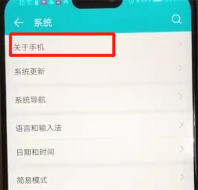 荣耀8x打开开发者模式的操作教程截图