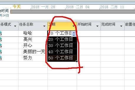 Project将工作日改成days的操作步骤截图