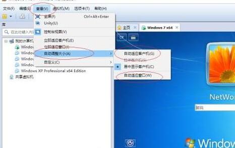 VMware设置窗口大小的操作步骤截图