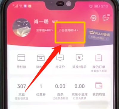 京东小白信用提升的操作步骤截图