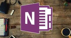 OneNote 2010中自动锁定分区的详细流程